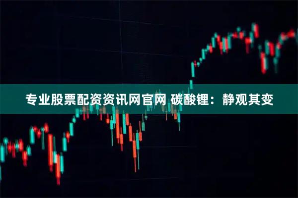 专业股票配资资讯网官网 碳酸锂：静观其变