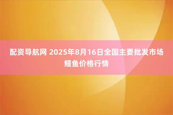 配资导航网 2025年8月16日全国主要批发市场鳗鱼价格行情